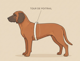Gilet Apaisant Lunapaw – Anti-Stress pour Chien